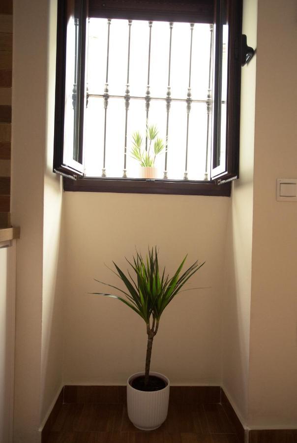 Apartamento Entrecaminos Setenil De Las Bodegas Exterior foto